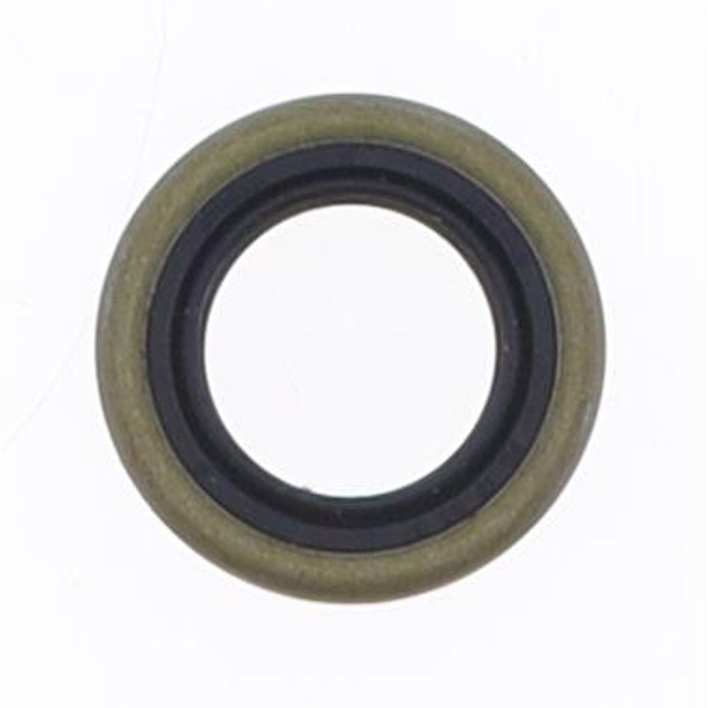Oil Seal with Metal Exterior 17x28x5 mm in NBR with one Seal-lip, one Dust Lip and Spring - Grafite Offroad