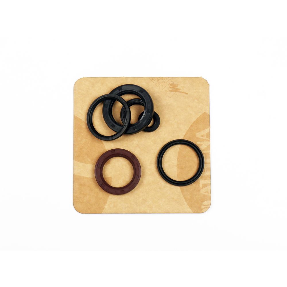 Engine Oil Seals Kit - Grafite Offroad