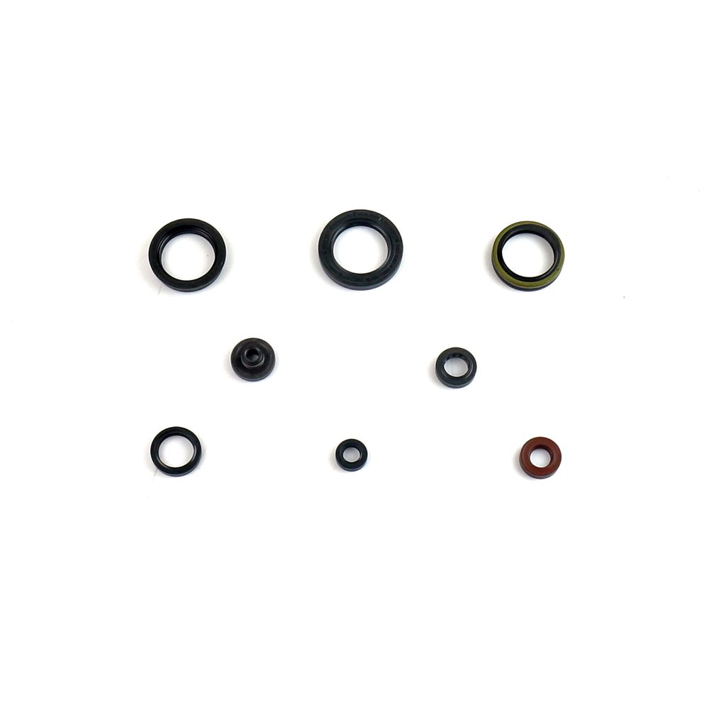 Engine Oil Seals Kit - Grafite Offroad