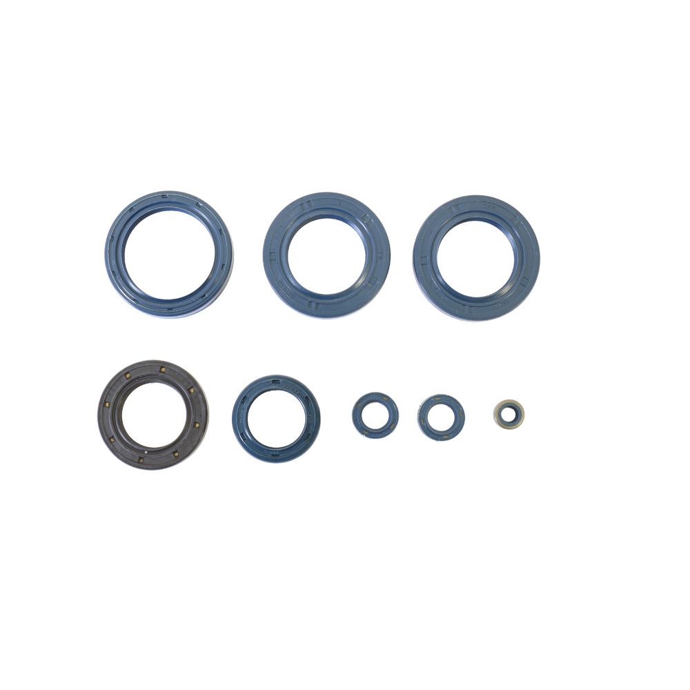 Engine Oil Seals Kit - Grafite Offroad
