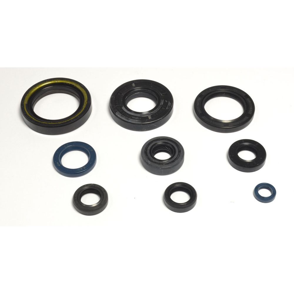 Engine Oil Seals Kit - Grafite Offroad