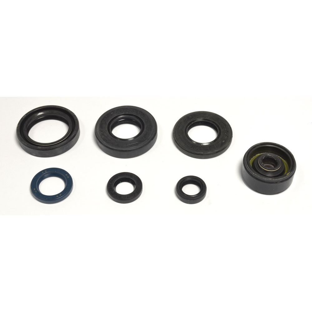 Engine Oil Seals Kit - Grafite Offroad