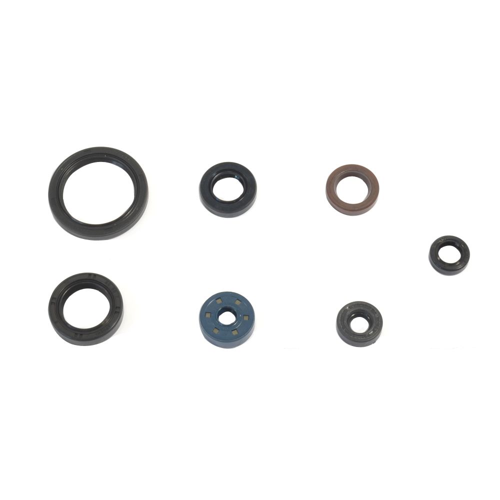 Engine Oil Seals Kit - Grafite Offroad