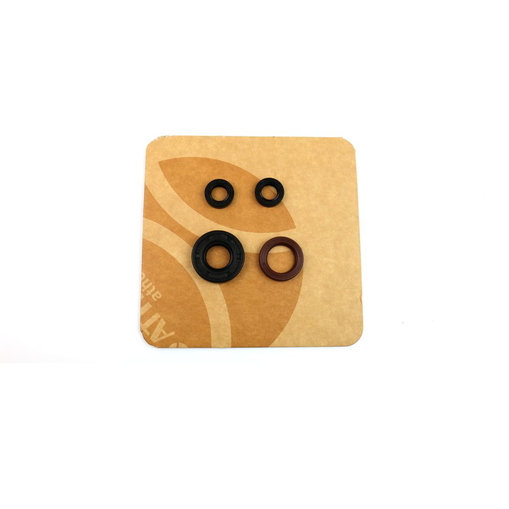 Engine Oil Seals Kit - Grafite Offroad