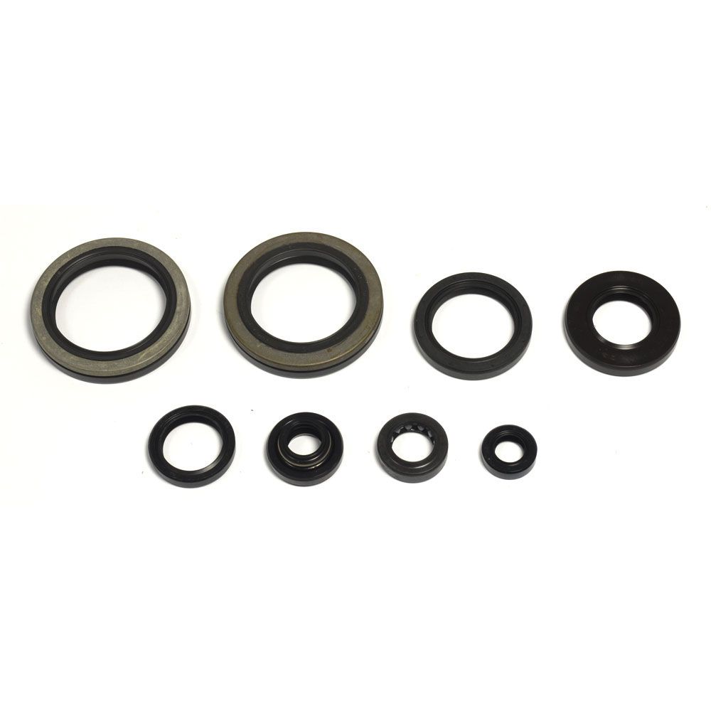 Engine Oil Seals Kit - Grafite Offroad