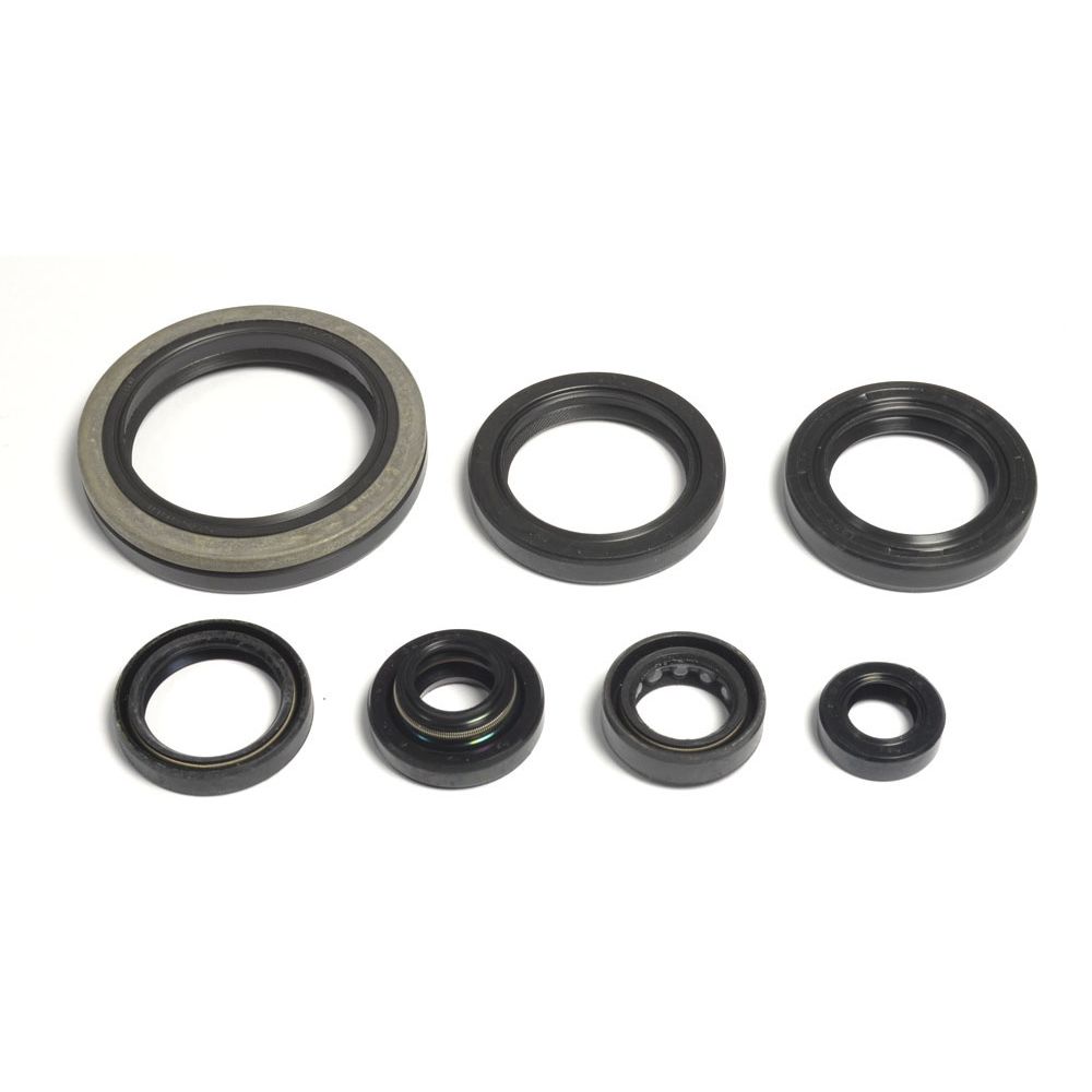 Engine Oil Seals Kit - Grafite Offroad