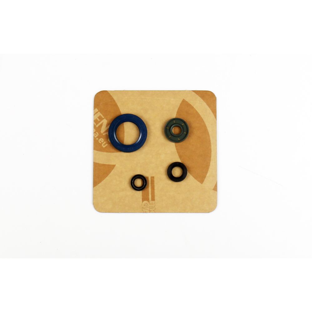 Engine Oil Seals Kit - Grafite Offroad