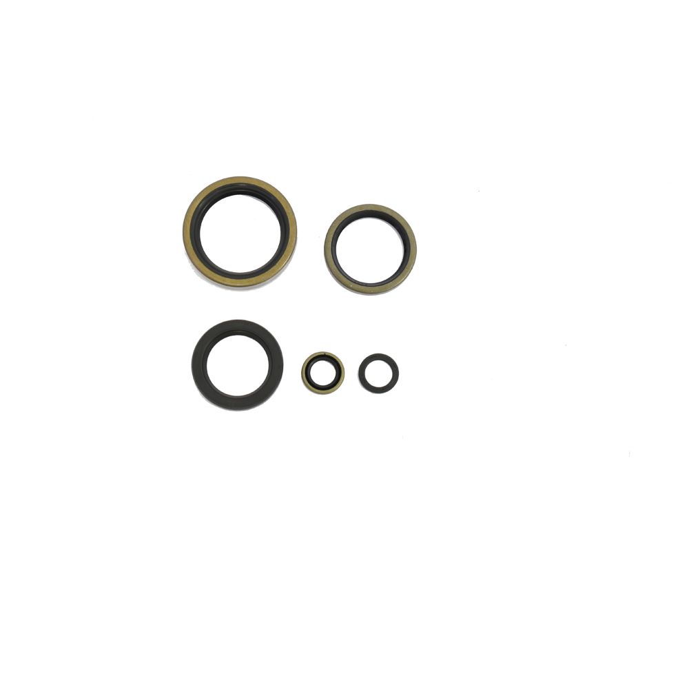 Engine Oil Seals Kit - Grafite Offroad