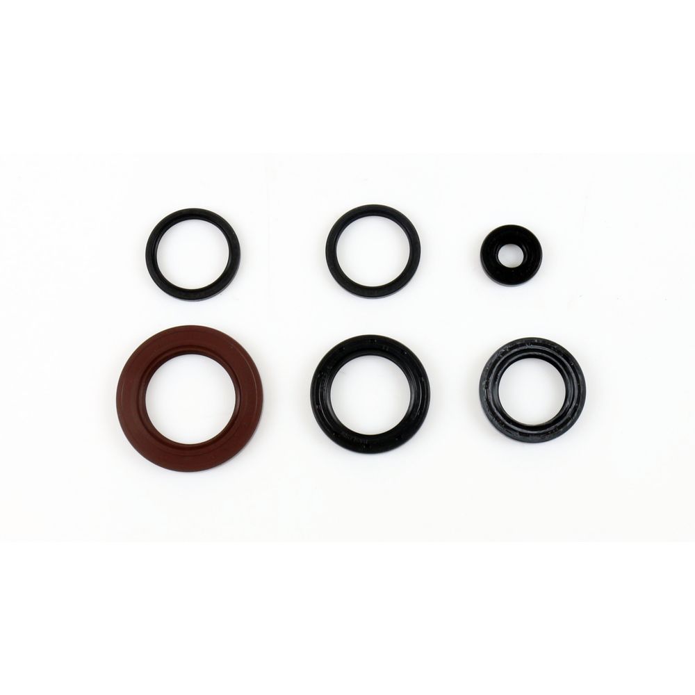 Engine Oil Seals Kit - Grafite Offroad