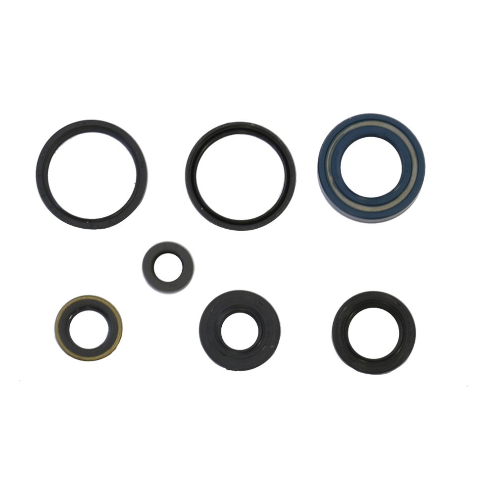 Engine Oil Seals Kit - Grafite Offroad
