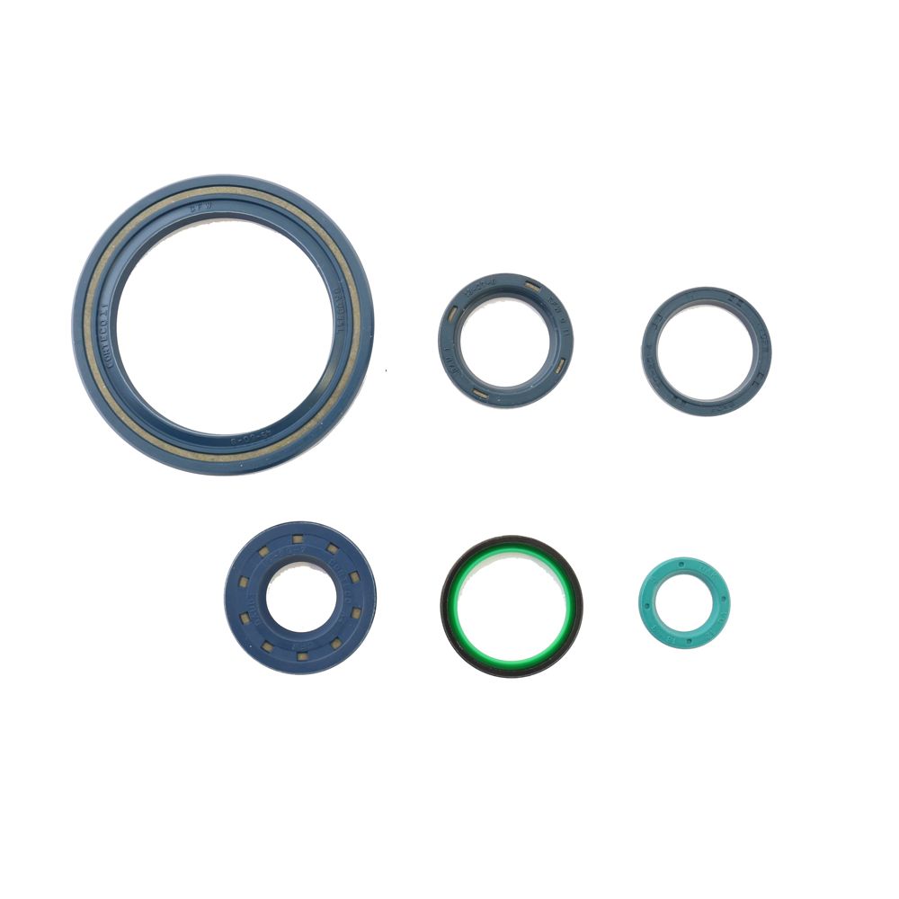Engine Oil Seals Kit - Grafite Offroad