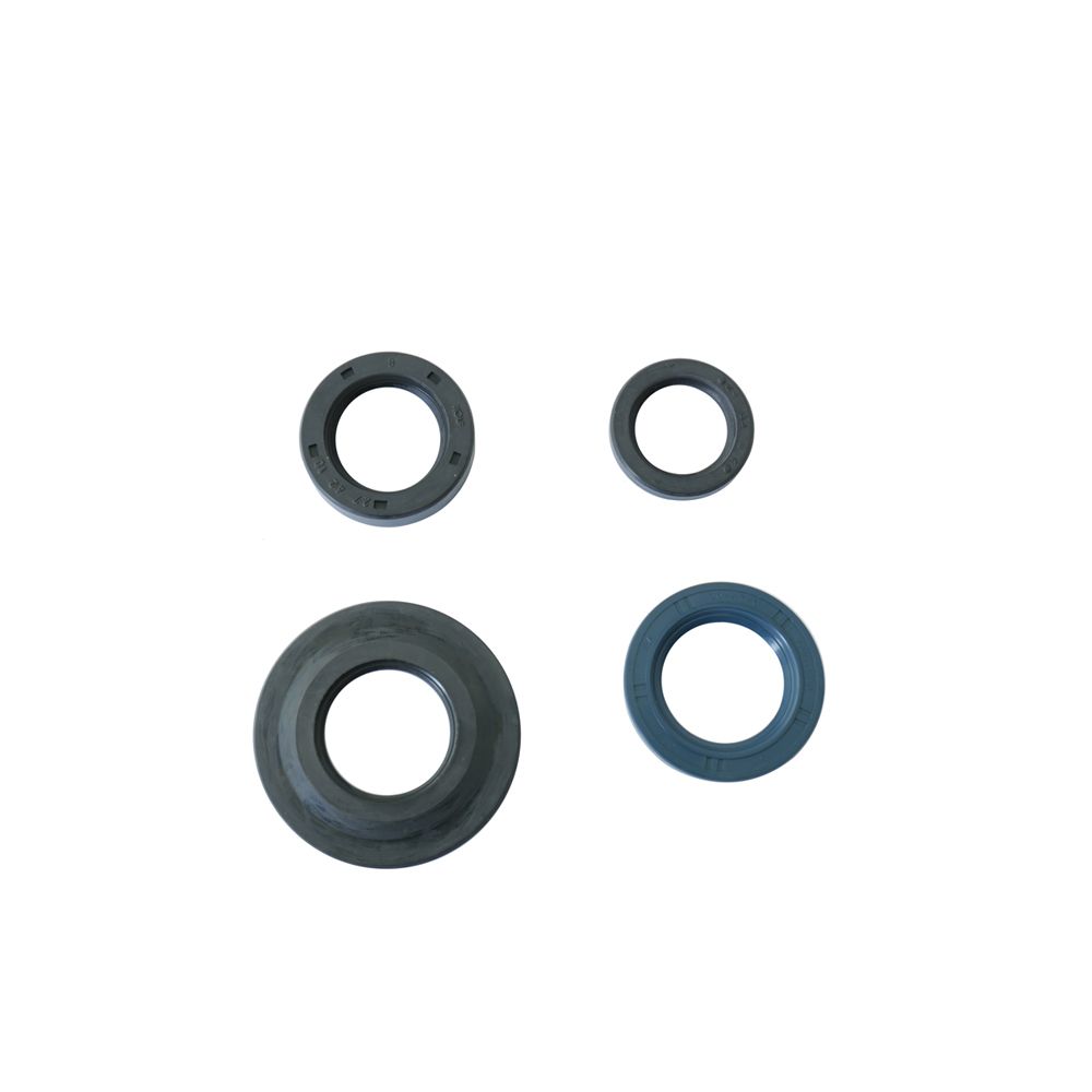 Engine Oil Seals Kit - Grafite Offroad
