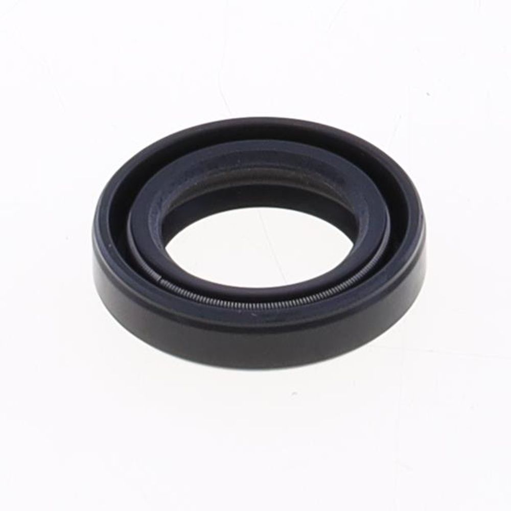 Oil Seal with Rubber Exterior 17x27x6 mm in PTFE with one Teflon Seal-lip, one Dust Lip and Spring - Grafite Offroad