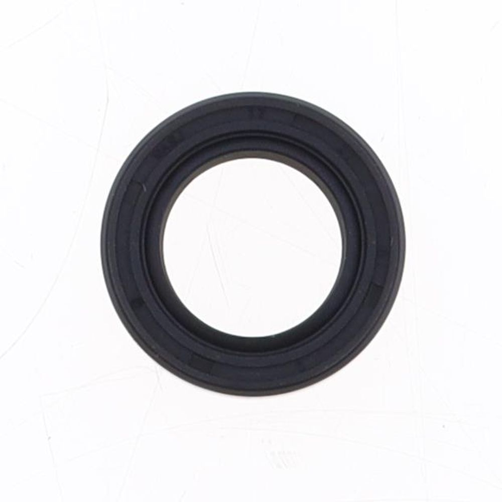 Oil Seal with Rubber Exterior 17x27x6 mm in PTFE with one Teflon Seal-lip, one Dust Lip and Spring - Grafite Offroad