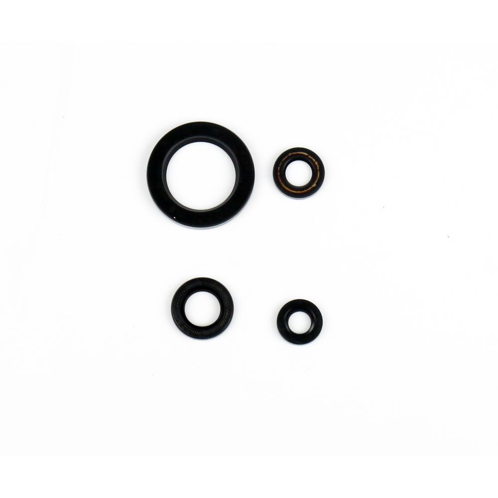 Engine Oil Seals Kit - Grafite Offroad