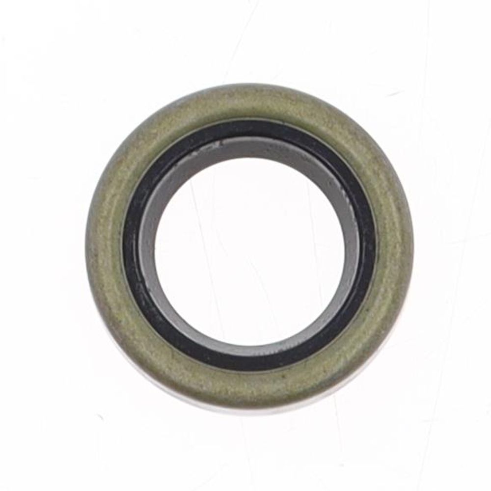 Oil Seal with Metal External 17x28x6 mm in NBR with one Seal-lip and Spring - Grafite Offroad