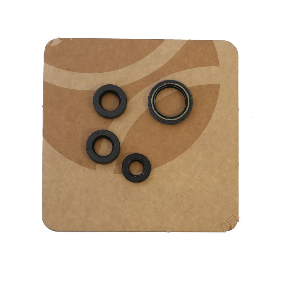 Engine Oil Seals Kit - Grafite Offroad