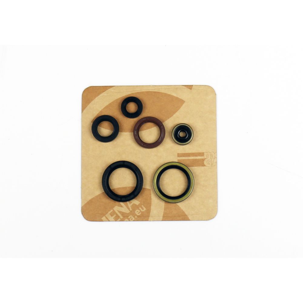 Engine Oil Seals Kit - Grafite Offroad