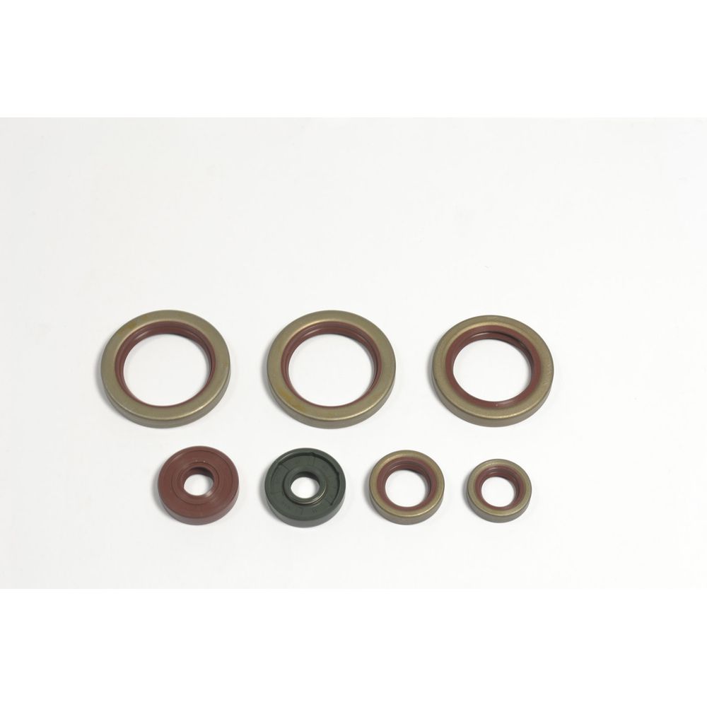 Engine Oil Seals Kit - Grafite Offroad