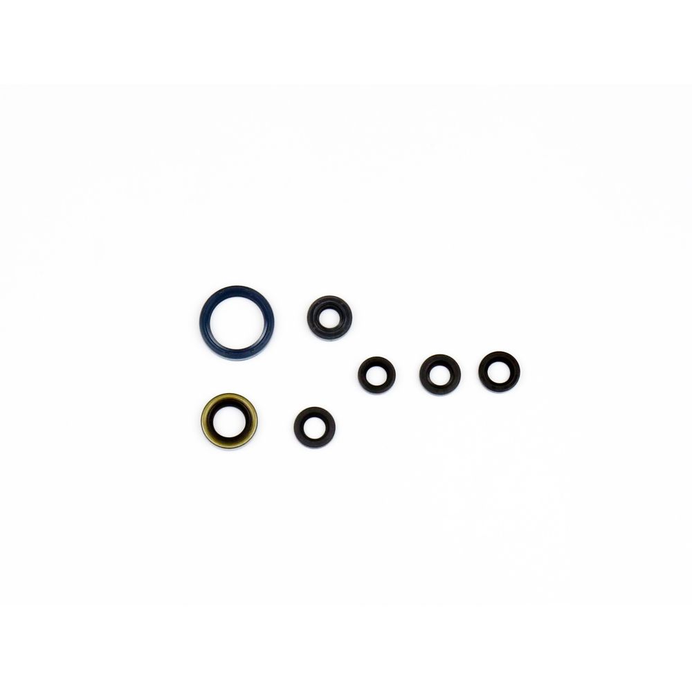 Engine Oil Seals Kit - Grafite Offroad