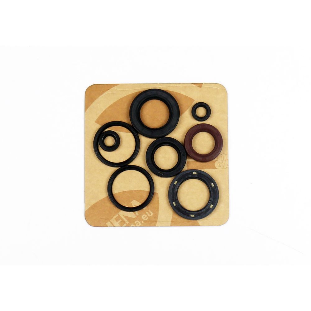 Engine Oil Seals Kit - Grafite Offroad