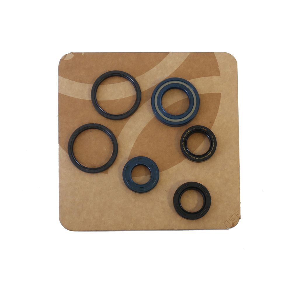 Engine Oil Seals Kit - Grafite Offroad