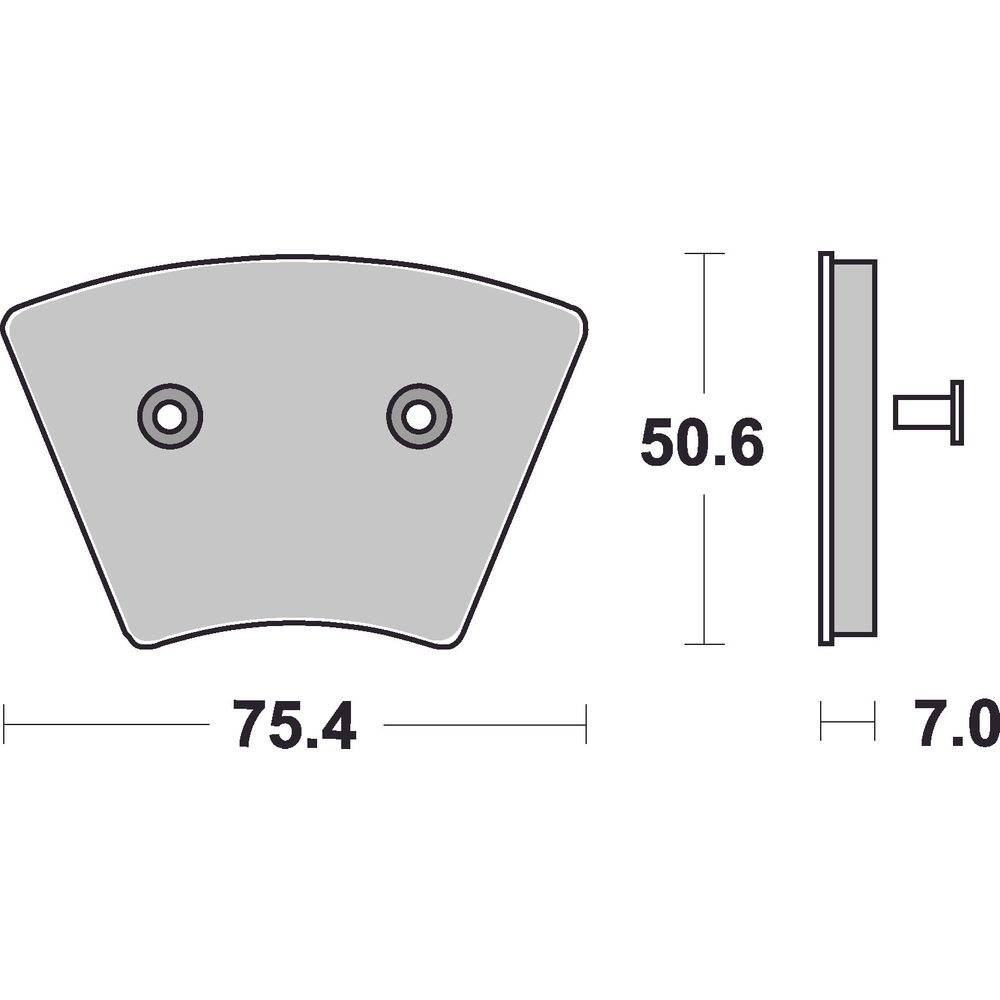 Harley Davidson Brake Pads | Organic Standard | Front - Ecer90