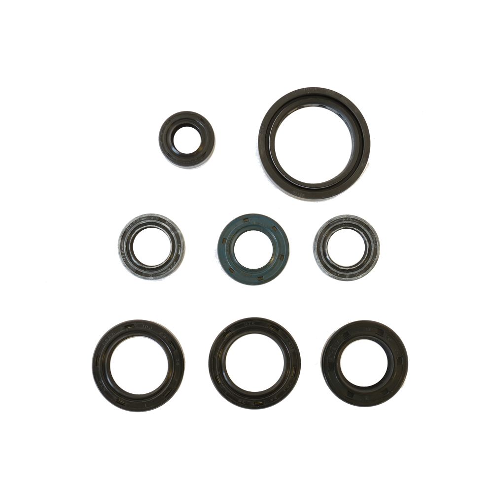 Engine Oil Seals Kit - Grafite Offroad