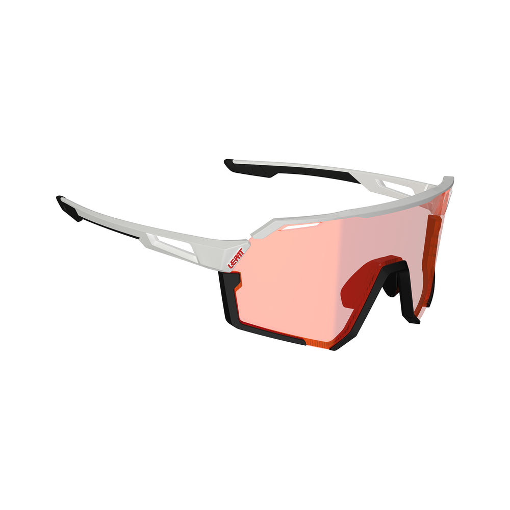 RideViz Pro Goggles