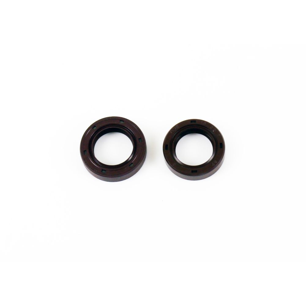 Crankshaft Oil Seals Kit - Grafite Offroad