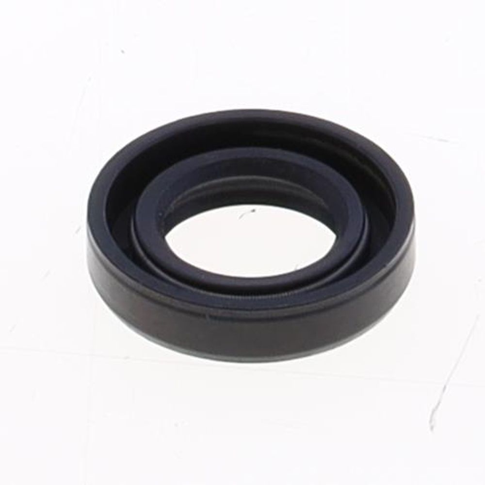 Oil Seal with Rubber Exterior 13x22x5 mm in ACM with one Seal-lip, one Dust Lip and Spring - Grafite Offroad