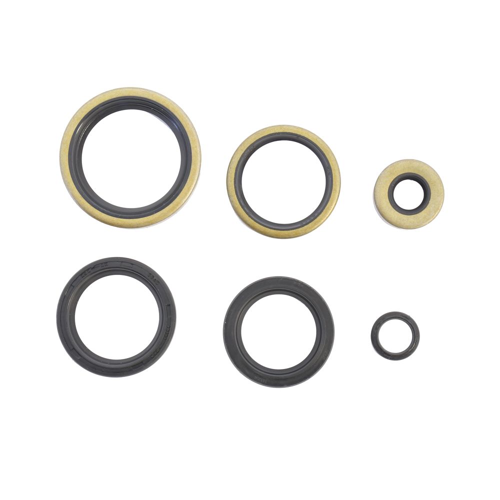 Engine Oil Seals Kit Sportster Ironhead 1000 82-85 - Grafite Offroad