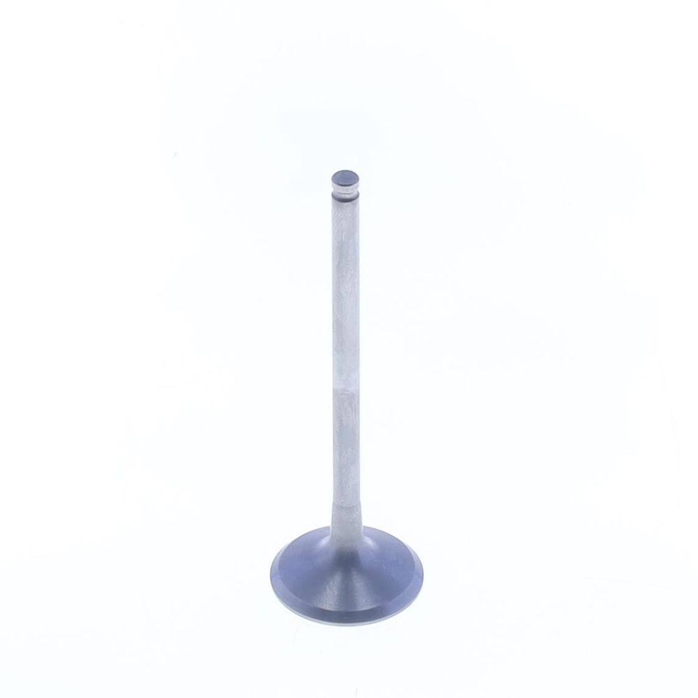 Exhaust Valve - Grafite Offroad