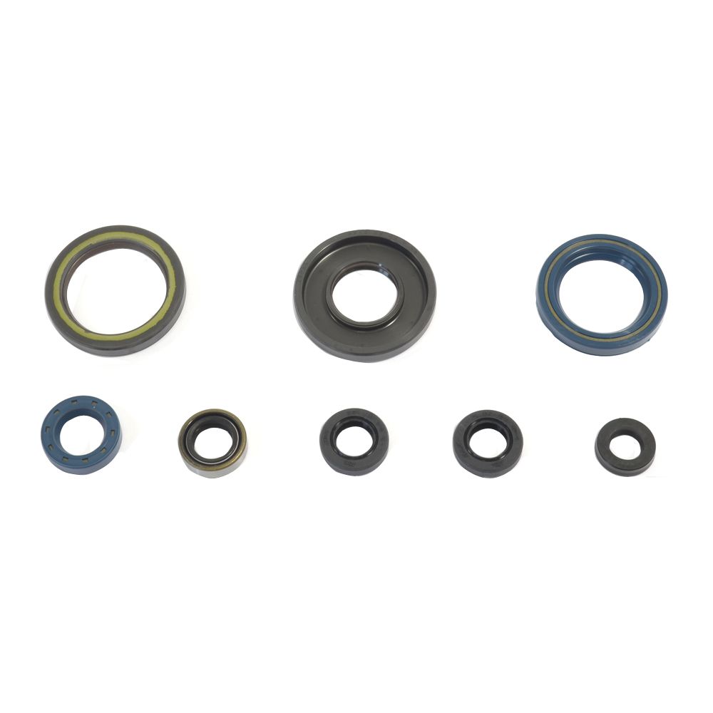 Engine Oil Seals Kit - Grafite Offroad
