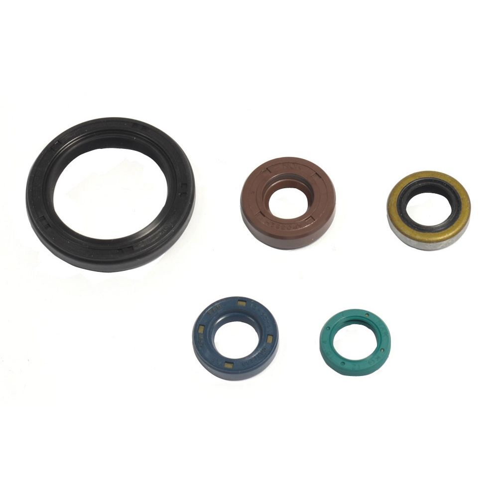 Engine Oil Seals Kit - Grafite Offroad