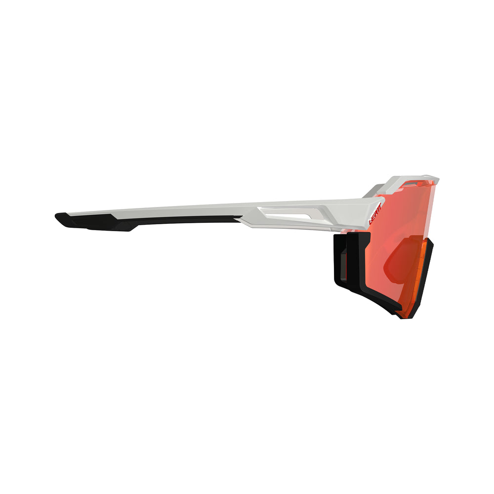 RideViz Pro Goggles
