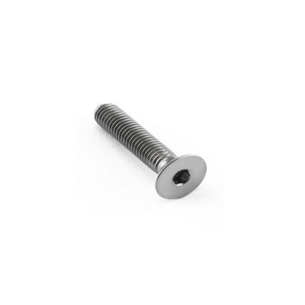 Vite in acciaio - m5x10 fhc - Pacco da 25 viti Black Bearing