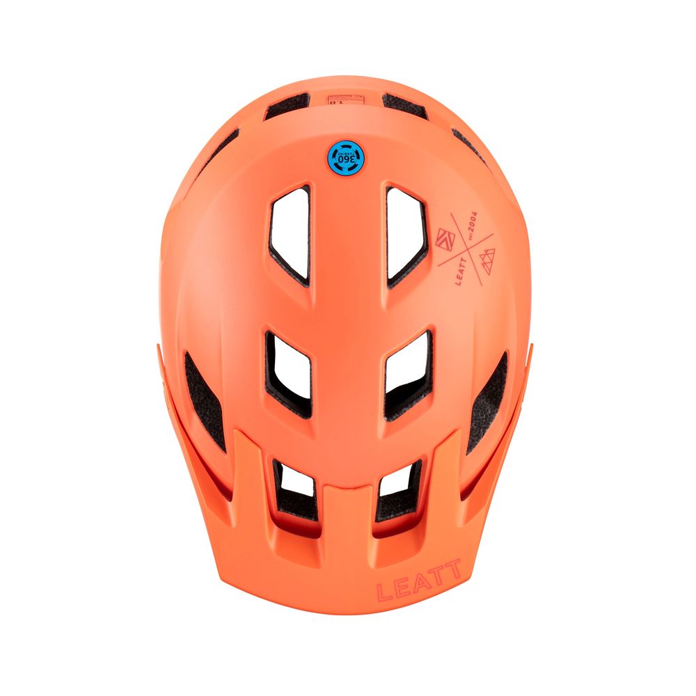 MTB AllMtn 1.0 Visier