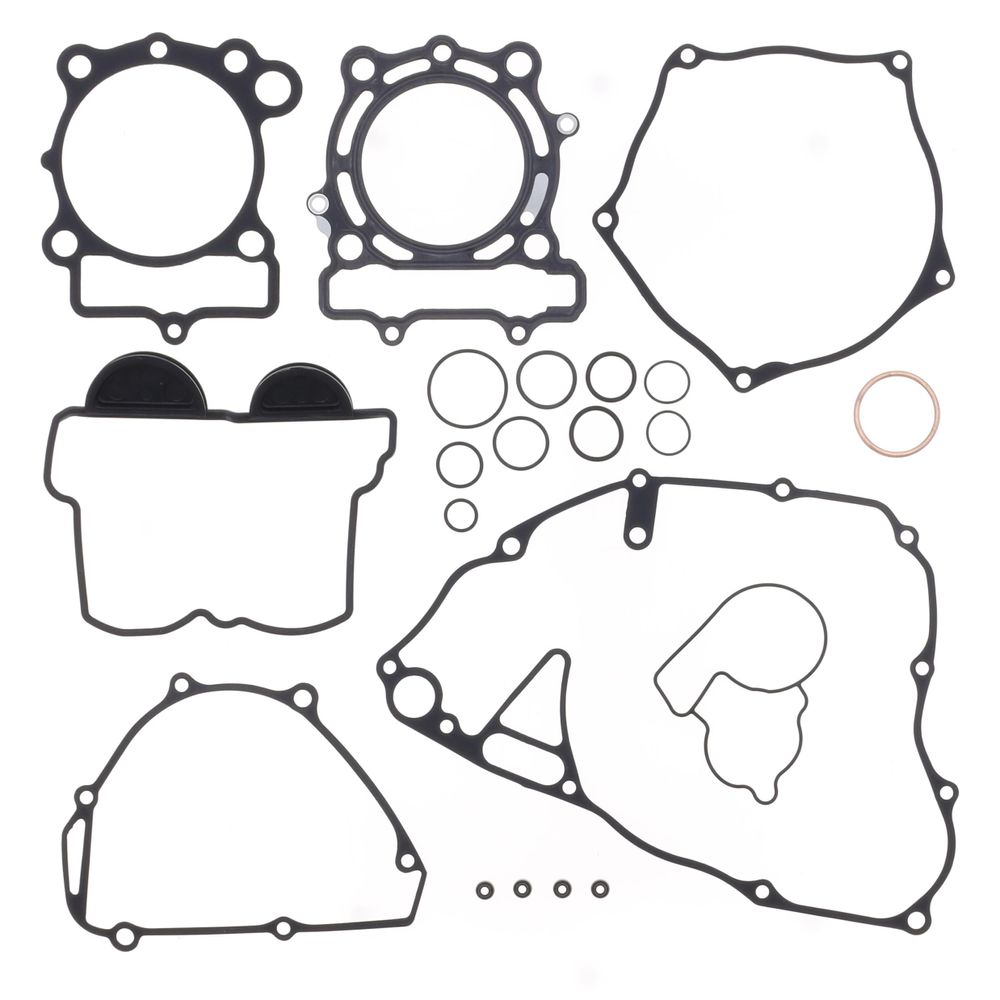 Complete Gasket Kit (oil seals not included)