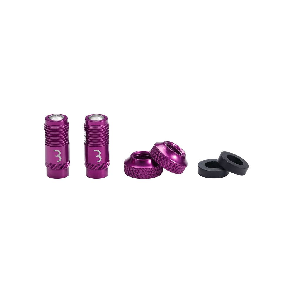 Valve Caps Corecap 2 Pcs Bti-165 | Purple - Grafite Offroad