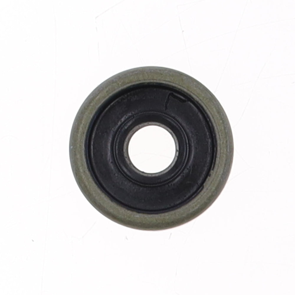 Oil Seal DM1 8x24x7