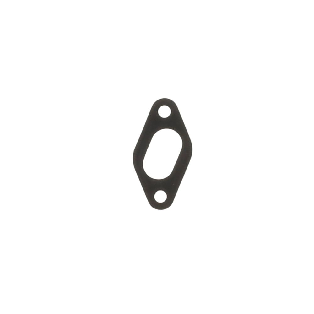 Intake Gasket - 2 Holes