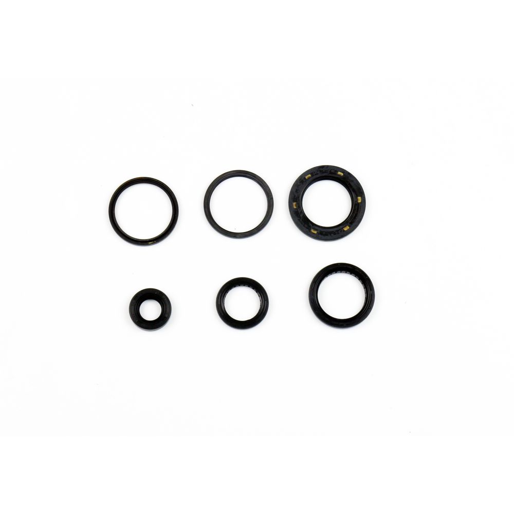 Engine Oil Seals Kit - Grafite Offroad